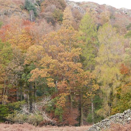Beech Villa Ulverston Buitenkant foto