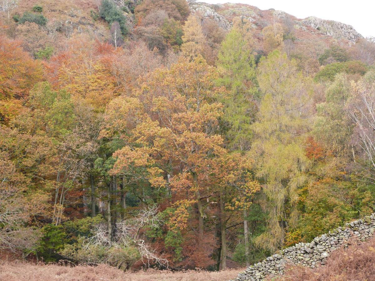 Beech Villa Ulverston Buitenkant foto